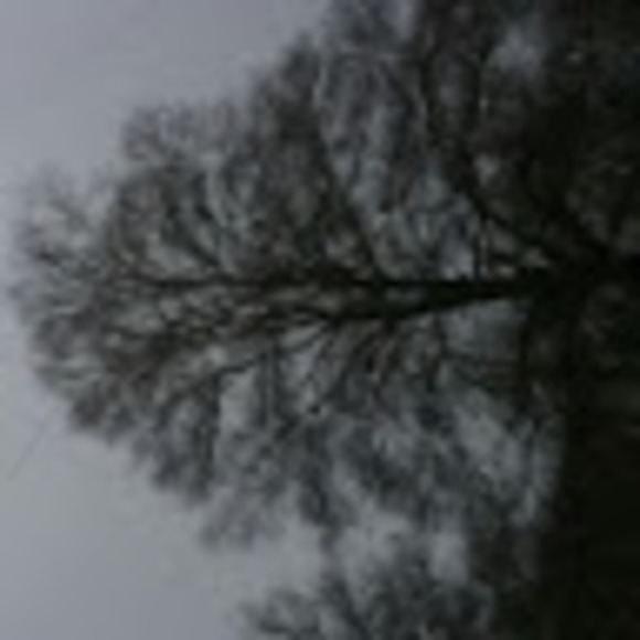 Meet your Posher, Daemon - Picture 1 of 1